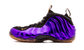 Air Foamposite One "Phoenix Suns" 314996 501