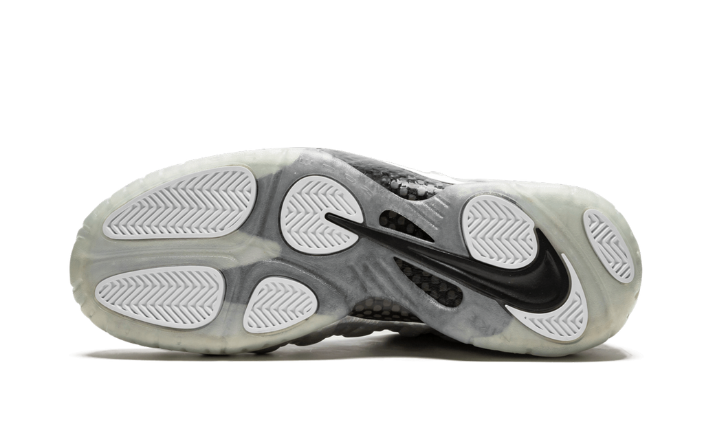 Air Foamposite Pro "Silver Surfer" 616750 004