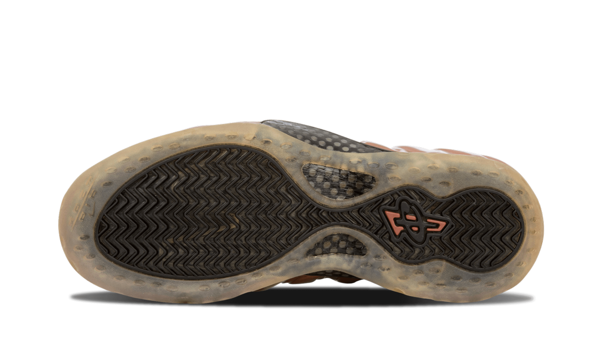 Air Foamposite One "COPPER" 314996 081